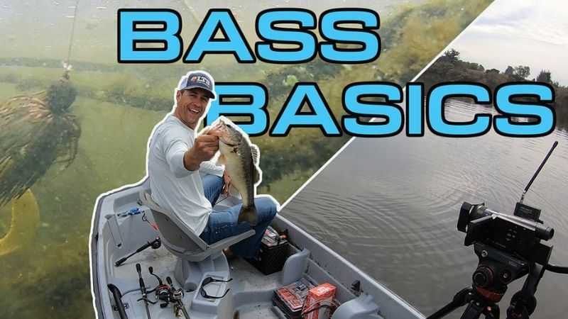 Went a little over board but I'm trying to figure out finesse and bass