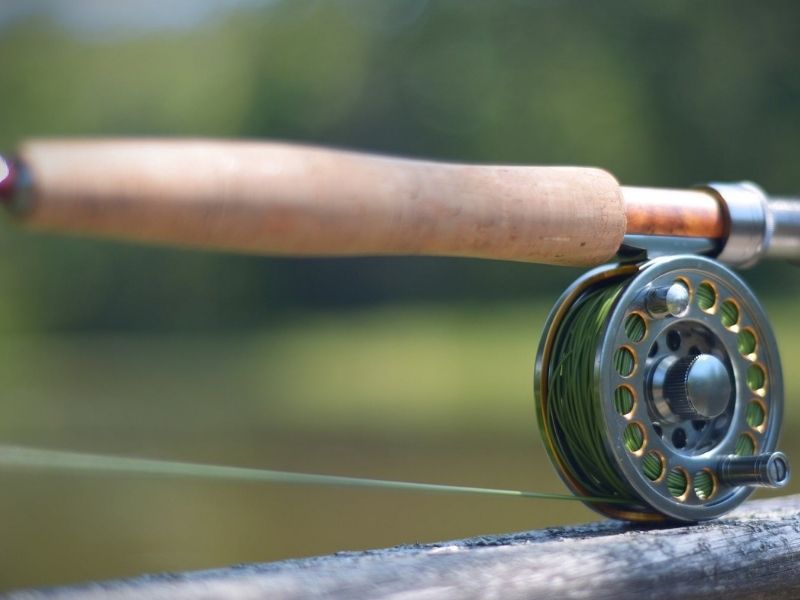 Fly Fishing Basics 101: A Beginner's Guide to Equipment, Terminology, Flies  and Casting Basics - Tackle Shack
