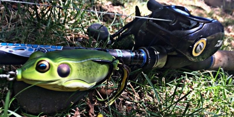 How to Set the Hook with Hollow-Bodied Frogs