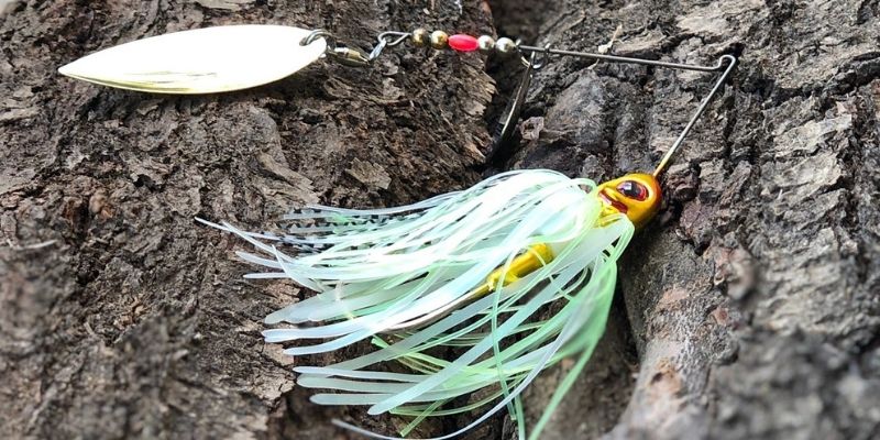 Spring spinnerbaiting: what are you throwing? - Fishing Tackle - Bass  Fishing Forums