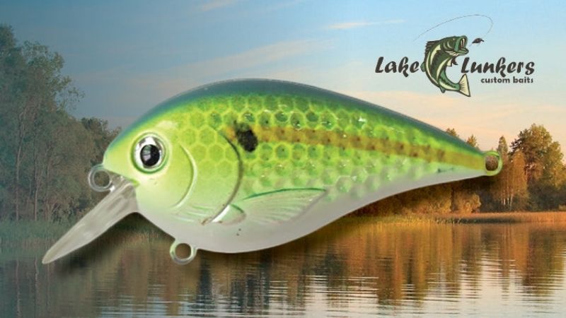 Square Lip Bait In The House – Lake Lunker
