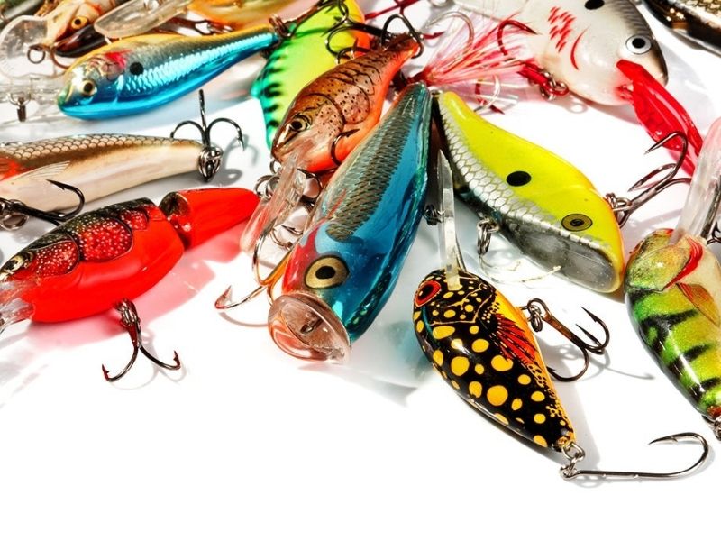 1 Best Fishing Bait For Lakes - Need To Know About Bait