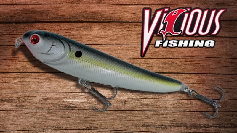 Topwater 110 – Vicious Bait For Vicious Anglers