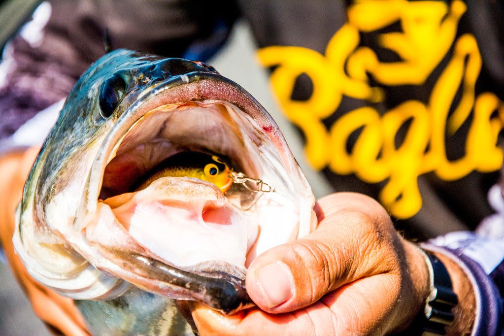 November Bass Fishing Lures - Fall Transition Bass Fishing - THREE BAITS 