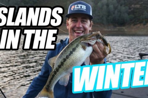Winter Crankbait Fishing with Stephen Browning