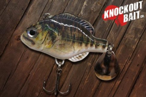 Crankbait Fishing Tips