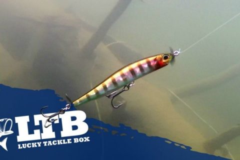 A Rig 101: Lucky Tackle Box Tips 